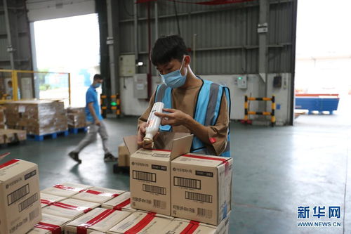 開放不息，海淘不止 疫情防控常態(tài)化下的廣州對(duì)外開放與海淘物流之路